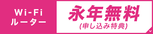 ソネット光プラス　ルーター無料特典